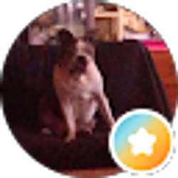 Profile photo of Dawn Rosamond