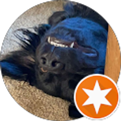 Profile photo of Roomsey