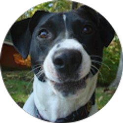 Profile photo of Brad Curtis