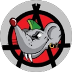 Profile photo of Bob Salamone