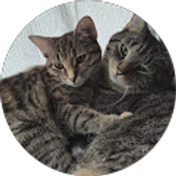 Profile photo of Danielle Stewart