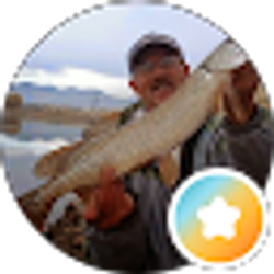 Profile photo of Mike Pipitone