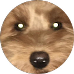 Profile photo of d verdier