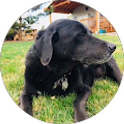 Profile photo of aubri roberts