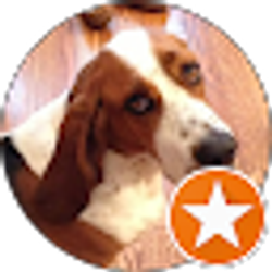 Profile photo of Mockingbird