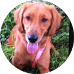 Profile photo of Sandy Flake