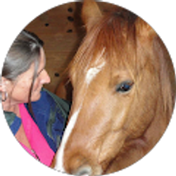 Profile photo of Allison Allison