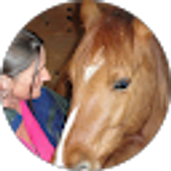 Profile photo of Allison Allison