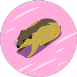 Profile photo of Tamara R