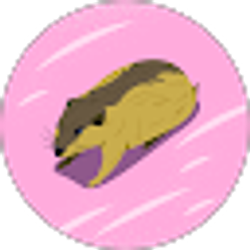 Profile photo of Tamara R