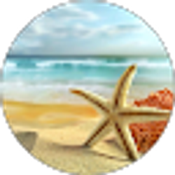 Profile photo of Turtle “turtle” P