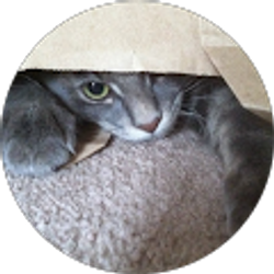 Profile photo of Meghan Washington