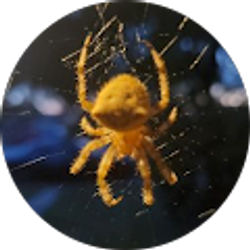 Profile photo of Kayleen H