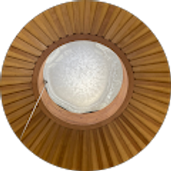 Profile photo of Susan Jones