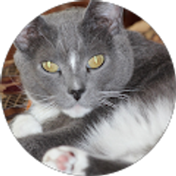 Profile photo of Darrell Fischer