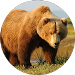 Profile photo of Lorena Alanis