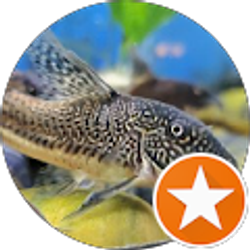 Profile photo of Steve C