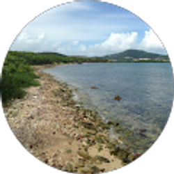 Profile photo of Eric Glassey