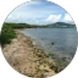 Profile photo of Eric Glassey