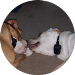 Profile photo of Dee Lee