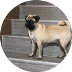 Profile photo of Lizbeth Flores