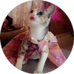 Profile photo of Kenny B