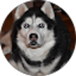 Profile photo of dom crocitto