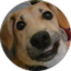 Profile photo of Cathy McCurdy