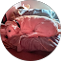 Profile photo of Jayden Cruse