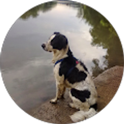 Profile photo of Thomas Knappman