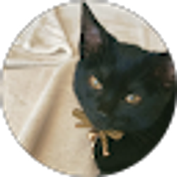 Profile photo of Vu