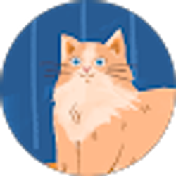 Profile photo of K H