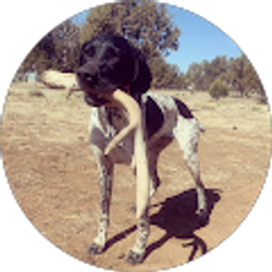 Profile photo of Eve Hoehle