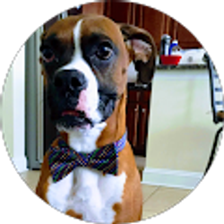 Profile photo of TyraCM