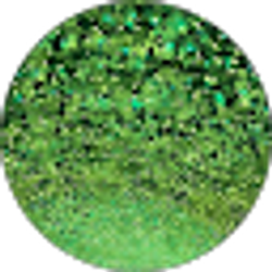 Profile photo of S.D. Foster