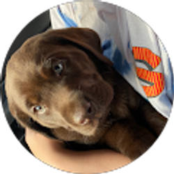 Profile photo of cajunbassing19