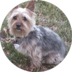 Profile photo of Lincolnsize