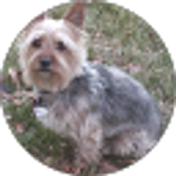 Profile photo of Lincolnsize