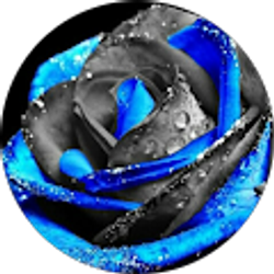 Profile photo of Ellisa Dyer