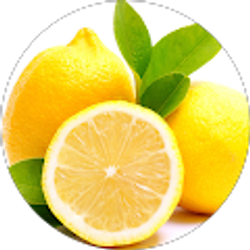 Profile photo of Karen Hughes