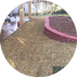 Profile photo of Dustin Bodfish