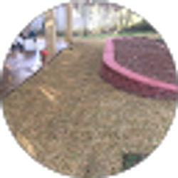 Profile photo of Dustin Bodfish