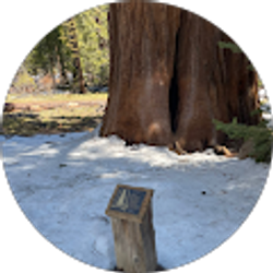 Profile photo of Sd Shaibi