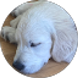 Profile photo of Sandra Robertson