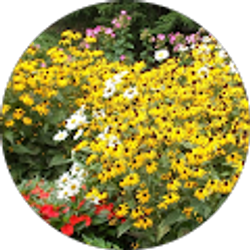 Profile photo of Bonnie Archer