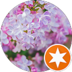 Profile photo of Lisa Pappas