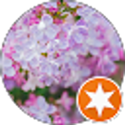 Profile photo of Lisa Pappas