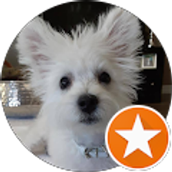 Profile photo of Larry Smith