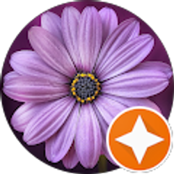 Profile photo of Denisa Keiper