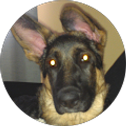 Profile photo of p weglowski